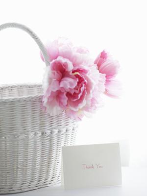 初心者から上級者まで満足！ベース選びのポイントとおすすめモデル徹底解説