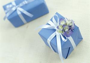 獣医師推奨！犬の健康管理に必須な療法食ガイド【最新情報】